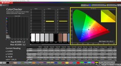 CalMAN ColorChecker（配置文件：P3，目标色彩空间：P3）